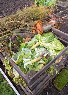 Going organic