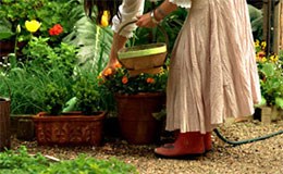Articles and advice