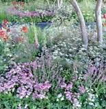 Designing with plants