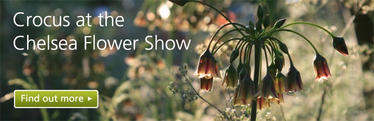 Chelsea Flower Show Homepage