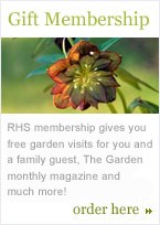 Gift Membership
