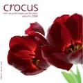 Catalogue Cover