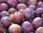 Fruit
