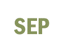 September pruning of trees, shrubs and climbers