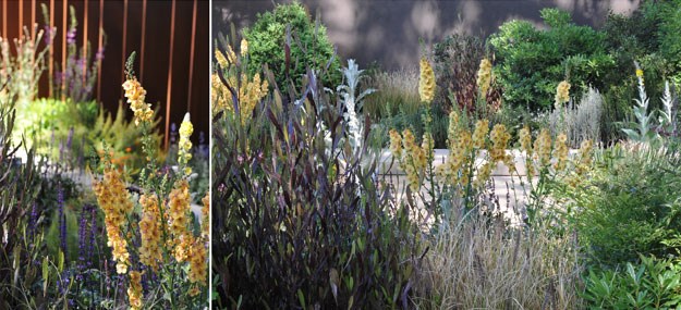 Andy Sturgeon's Daily Telegraph Garden
