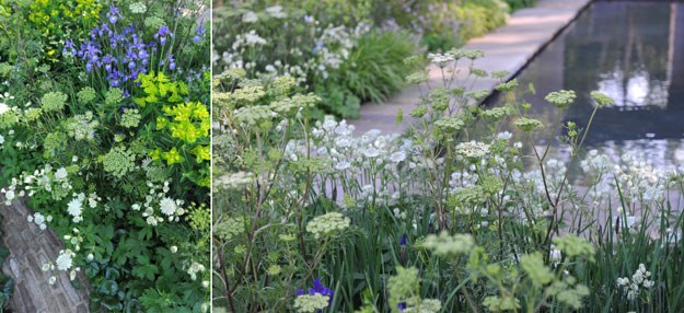 Tom Stuart Smith's garden for Laurent Perrier