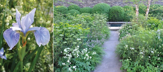 Tom Stuart Smith's garden for Laurent Perrier
