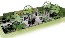 Plan of Cleve West's garden for The Daily Telegraph