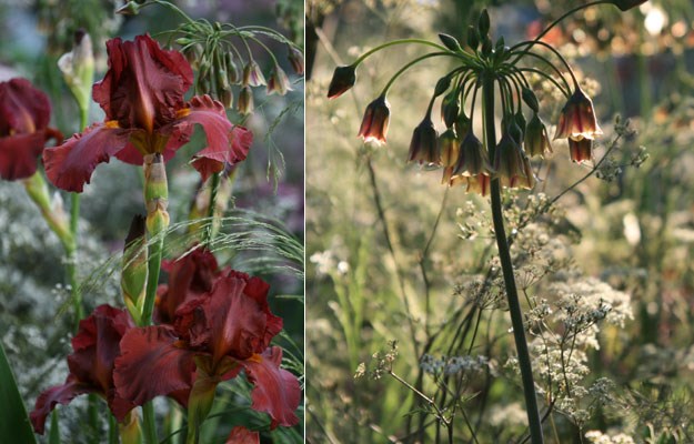 Luciano Giubbelei's garden for Laurent Perrier