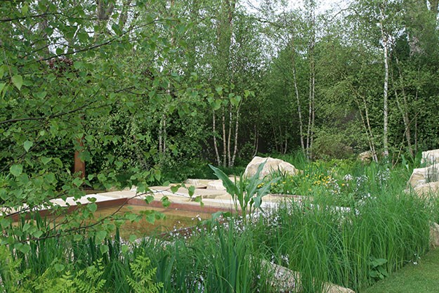 Sarah Price's Daily Telegraph Garden