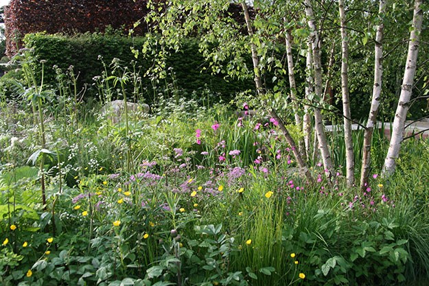 Sarah Price's Daily Telegraph Garden