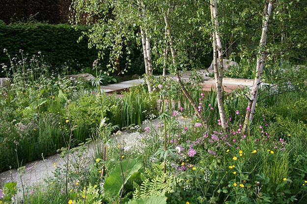 Sarah Price's Daily Telegraph Garden