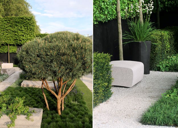 Ulf's Daily Telegraph Garden