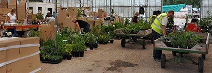 Look around the Crocus Nursery