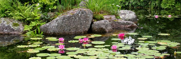 Large Garden Ponds