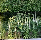 Woodlan garden style