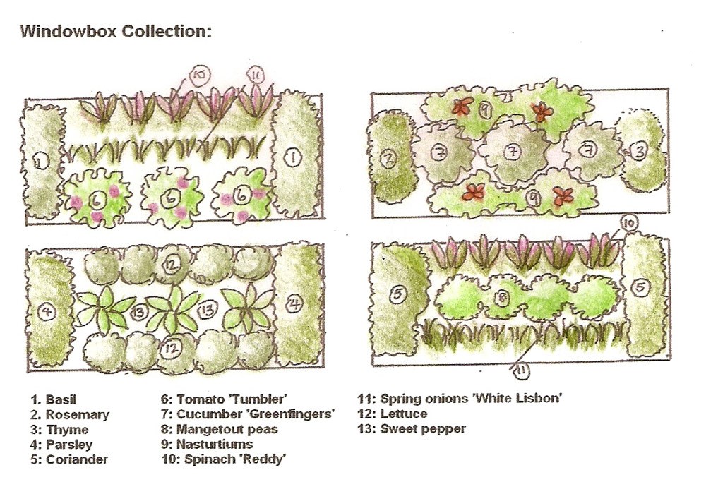 Vegetable Garden Boxes Plans