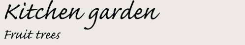 Fruit Trees