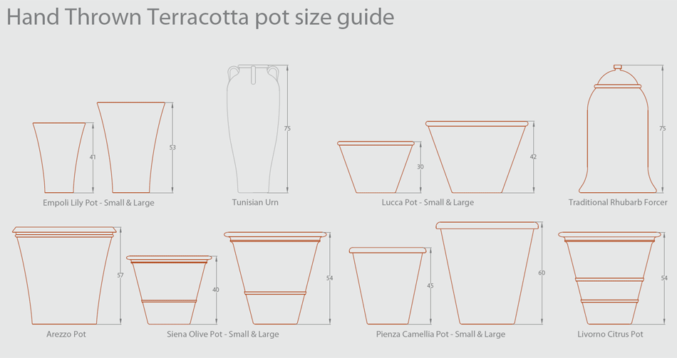 Pot Size Chart