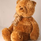 Cuddly Teddy Bear