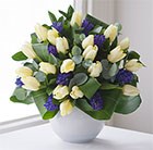 Spring awakenings