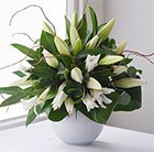 Heavenly scents white