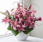 Heavenly scents pink