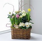 Spring <br>basket