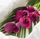 Calla Lily Spray