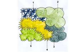Crocus combinations