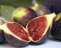 fig 'Brown Turkey' (fig)