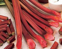 rhubarb 'Champagne' (rhubarb Champagne crowns)