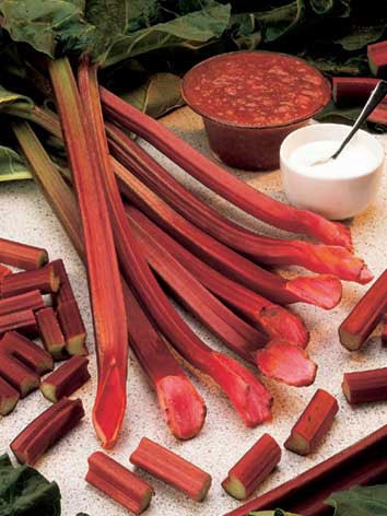 rhubarb rhubarb