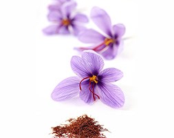 Crocus sativus (saffron crocus bulbs)