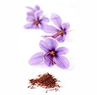 saffron crocus