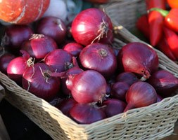 onion 'Red Baron' (onion sets)