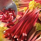 Rhubarb Victoria