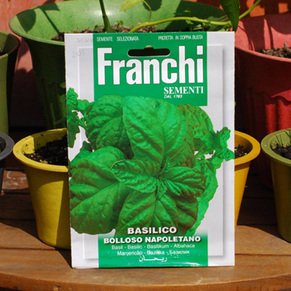 basil