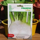 fennel fennel