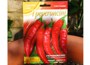 Chilli - Kne Chilli