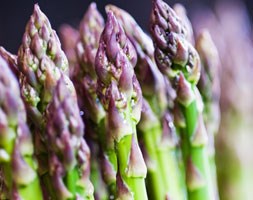 asparagus 'Gijnlim' (asparagus Gijnlim crowns)