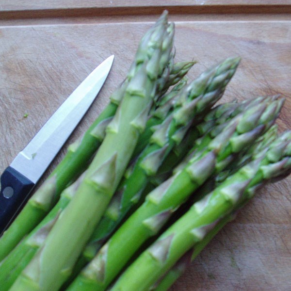 asparagus Gijnlim