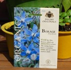 borage - organic