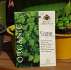 chervil - organic curled