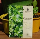 coriander - organic