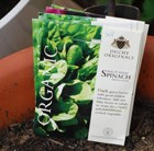 spinach - organic