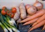 vegetable plug plant collection
