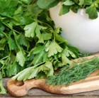 Herb Collection - herb plug plants