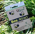 bee attract seed
