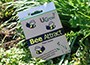 bee attract seed